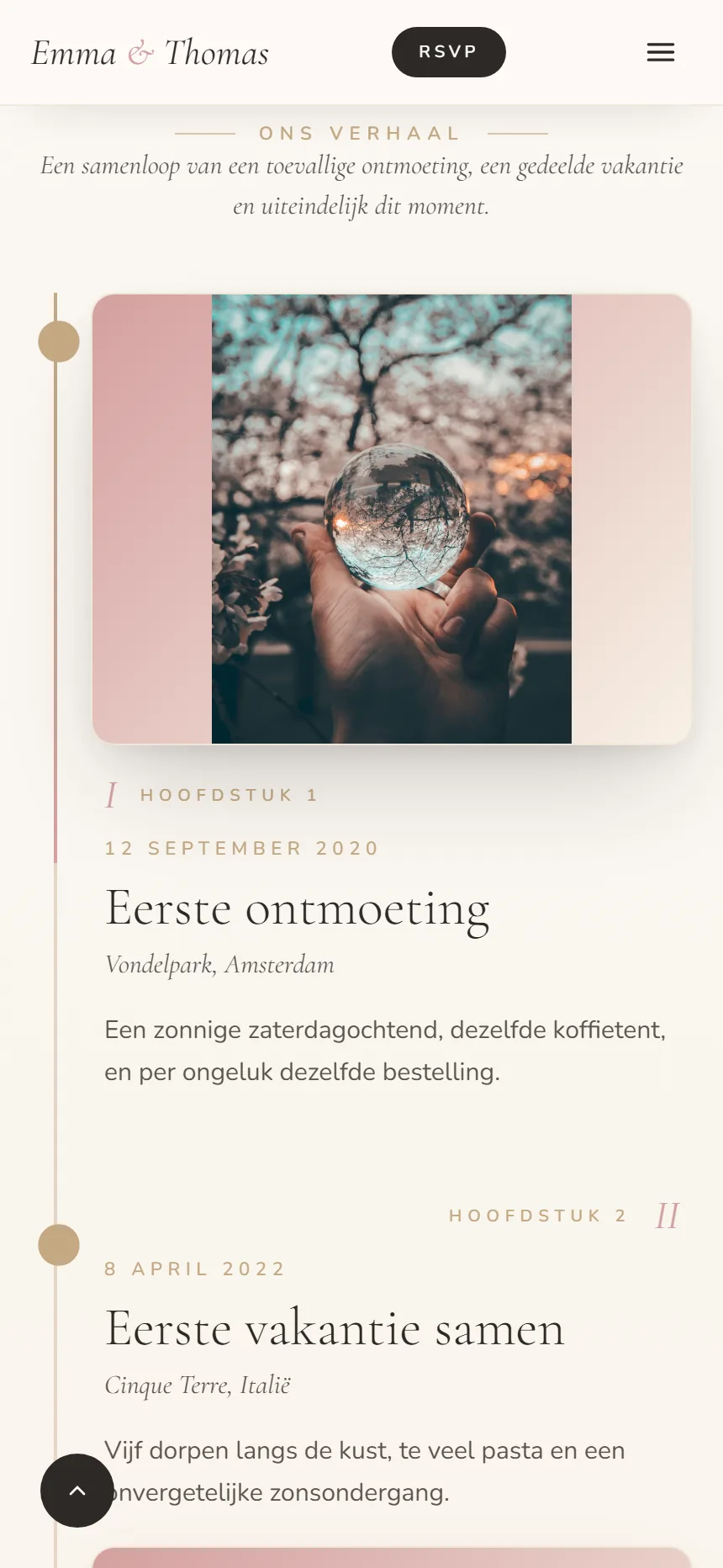 Ons verhaal op de trouwwebsite, met hoofdstukken en foto's